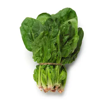 spinach (1)-5080013-3331.webp